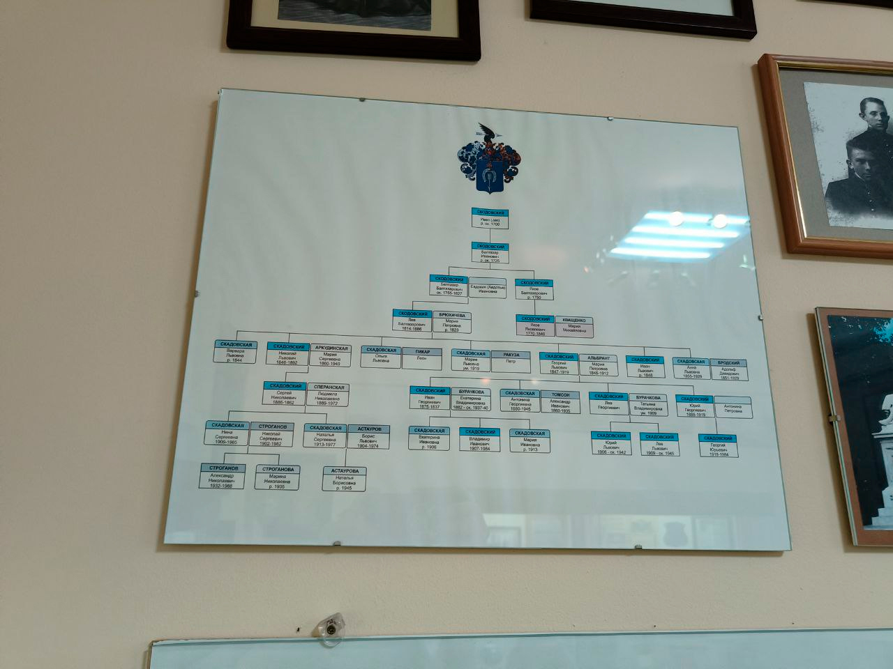 Родовое древо Скадовских в местном музее. Балтазары и Яковы на месте.