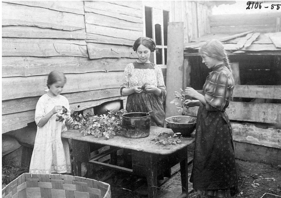Деревенские девушки изготовляют сухоцветы (1910-е гг)